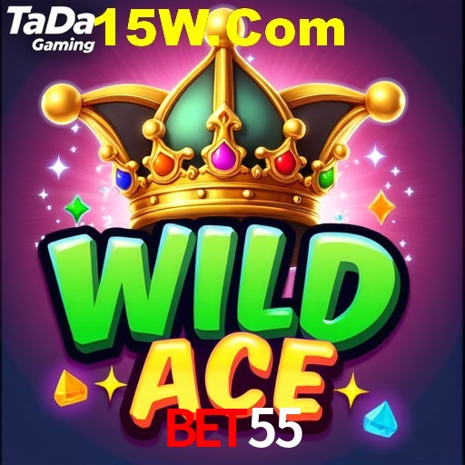APP rápido e leve da bet55